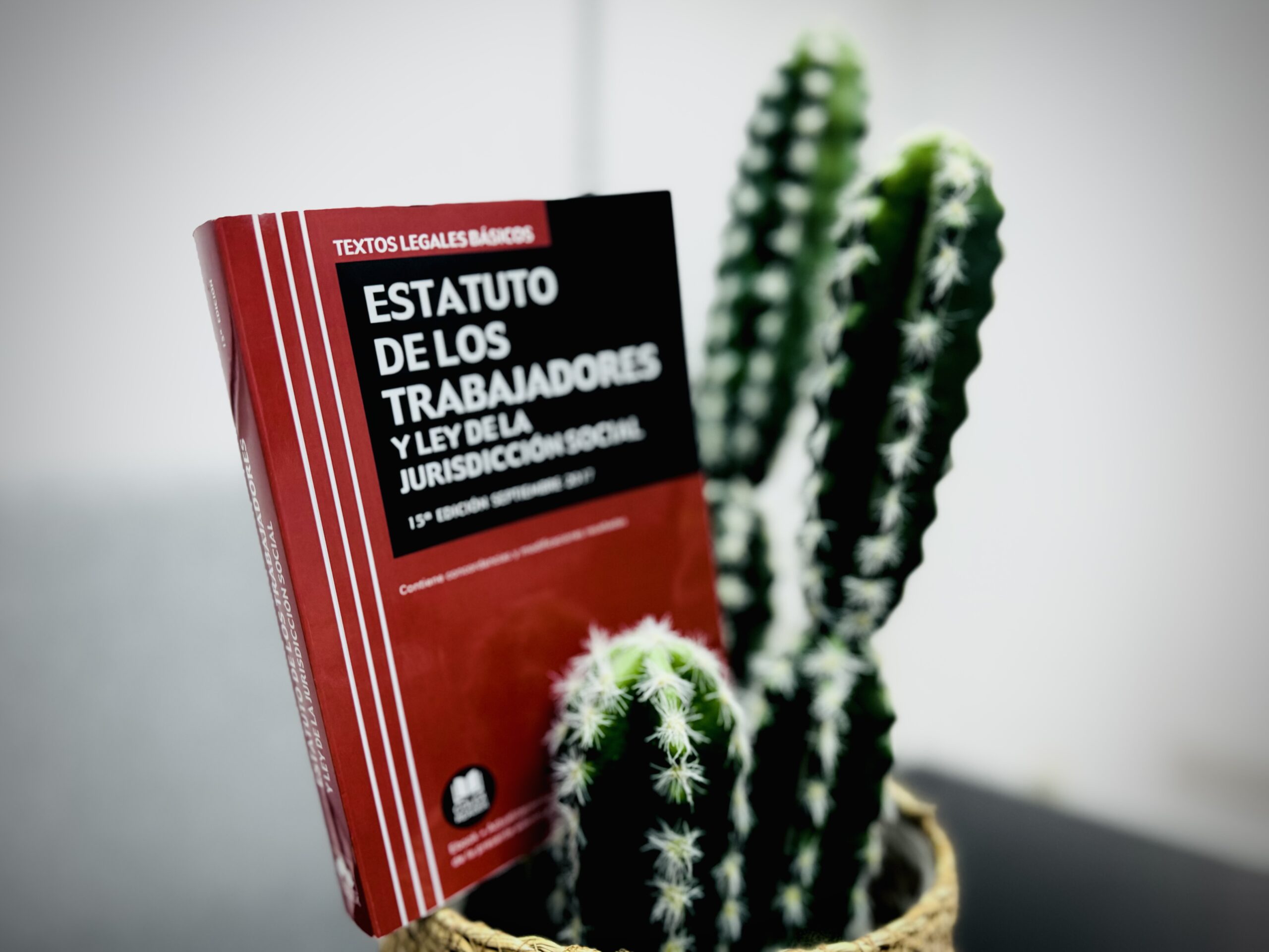 PLAZO DESPIDOS TRIANGULO LEGAL DESPACHO